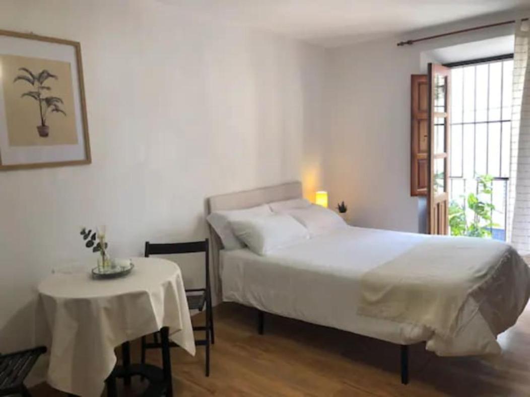 Apartamento Completo Reformado En Arco De Elvira - Centro Granada Eksteriør billede