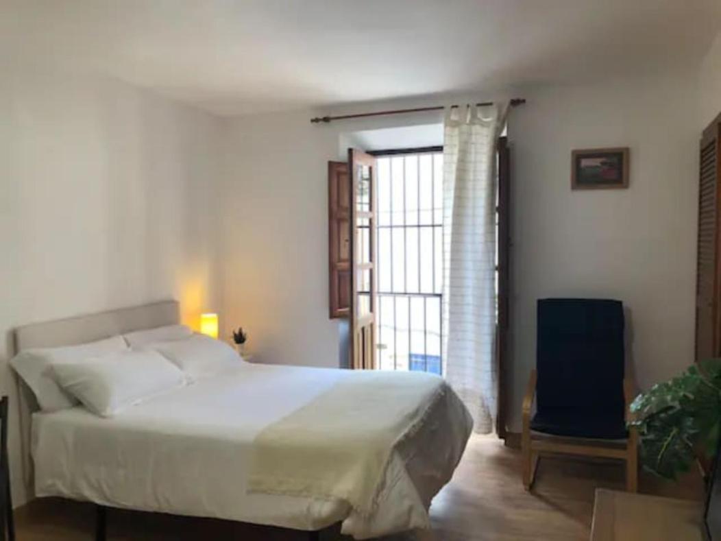 Apartamento Completo Reformado En Arco De Elvira - Centro Granada Eksteriør billede